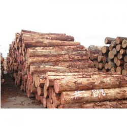 三江收购松木企业一览表